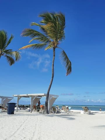 Just a short ride away is the gorgeous Juanillo Beach featuring miles of white sand beach to relax on while sipping your favorite cocktail.
Don't miss our exclusive VIP reserved seating area for our guests where you will always find comfy seating.