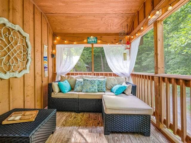 Highland Cabin, pets ok/GW Nat'l Forest/near JMU