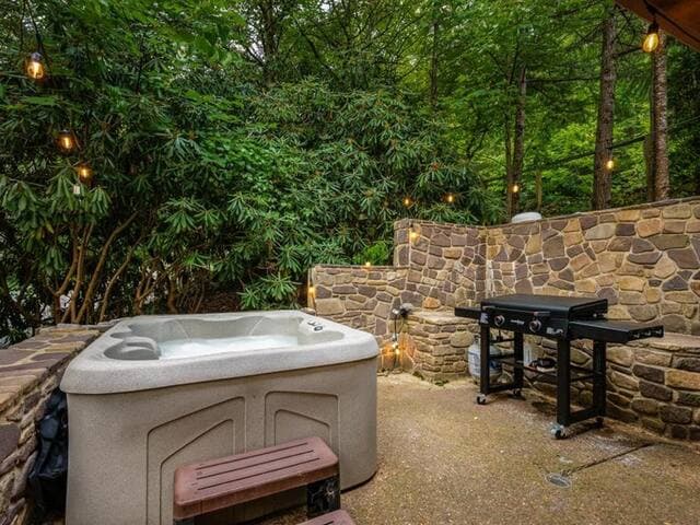 Highland Cabin, pets ok/GW Nat'l Forest/near JMU