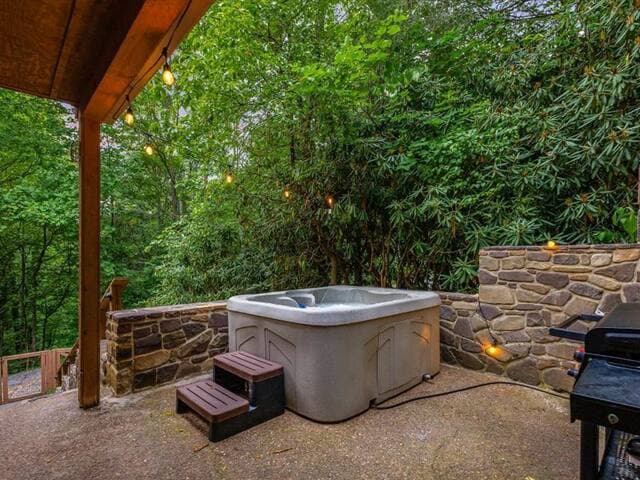 Highland Cabin, pets ok/GW Nat'l Forest/near JMU