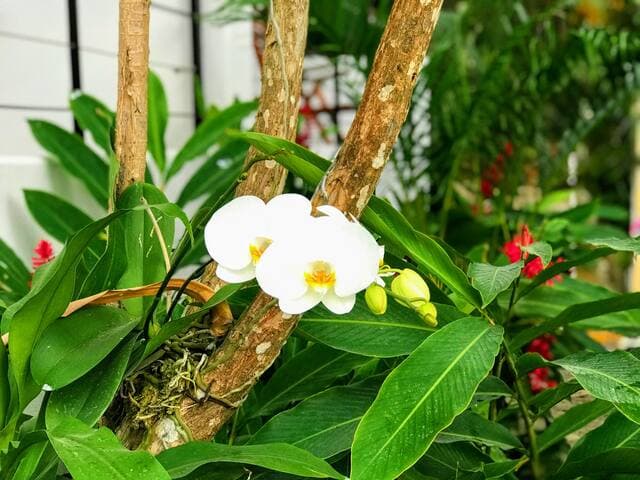 Stylish condo on the pool, near beach at Casa Yaka