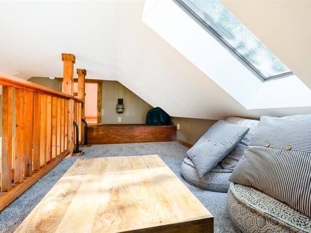 Highland Cabin, pets ok/GW Nat'l Forest/near JMU