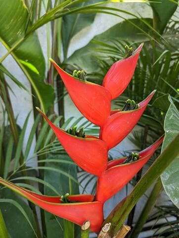 Luxe Penthouse; 2 Pools, Ocean Views at Casa Yaka