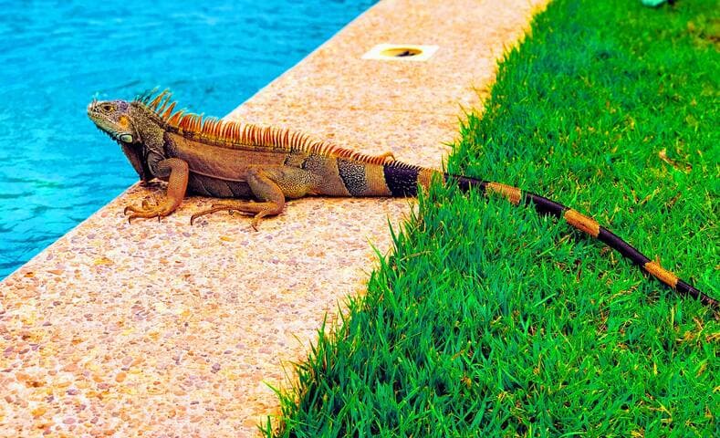 Casa Yaka Courtyard Villa w/pool Near the beach!
