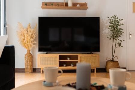 Large 75'' TV for your pleasure :)