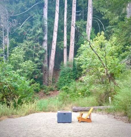 Dreamy Glamping in Your Own Private Redwood Grove