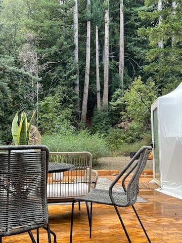Dreamy Glamping in Your Own Private Redwood Grove