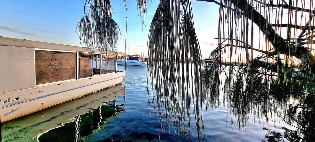 Great place for a chilled relaxing stay. Beautiful interesting location on the river and a short walk to Hastings Street. Ally and David are fantastic hosts, great communicators and always helpful when needed.
Definitely would like to return, Oct 23