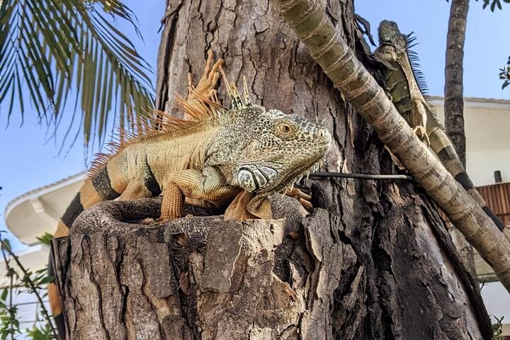 Casa Yaka Courtyard Villa w/pool Near the beach!