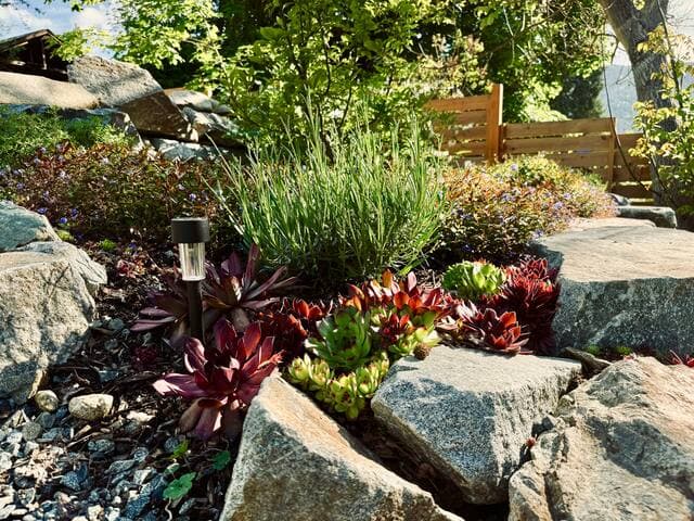 Nelson Guest Home -Loki's Peak-