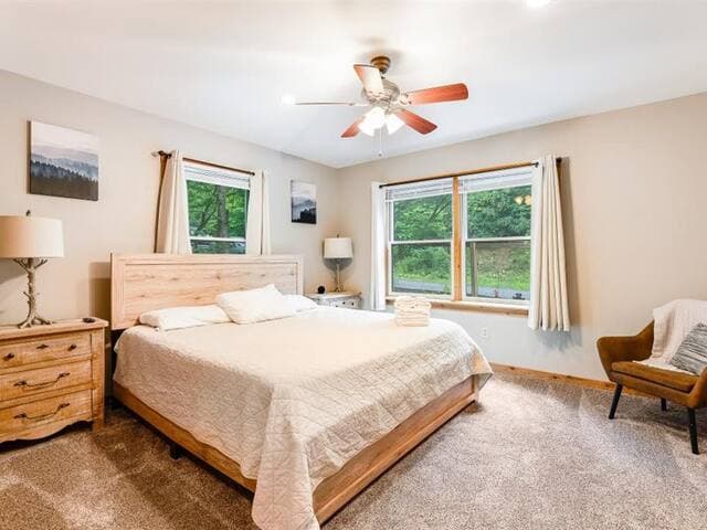 Highland Cabin, pets ok/GW Nat'l Forest/near JMU