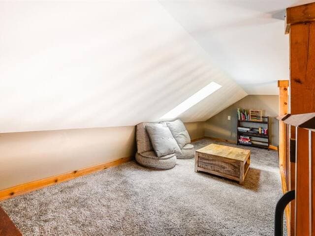 Highland Cabin, pets ok/GW Nat'l Forest/near JMU