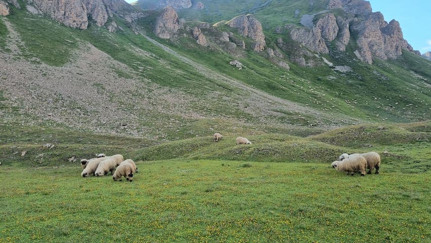 Super Cozy Chalet with WoW view - 12 min from Ski