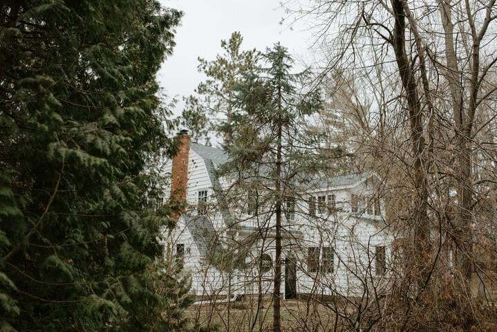 Charming Getaway in the Woods