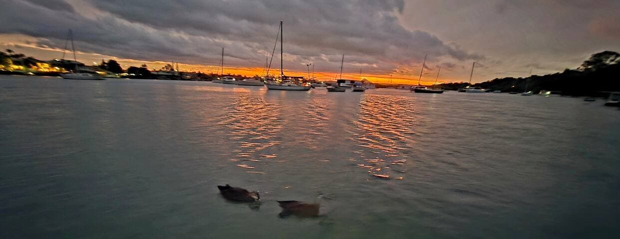 "Liquid Paradise"Experience more& stroll to it all