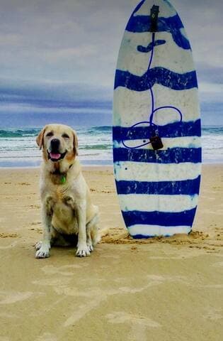 "Liquid Paradise"Experience more& stroll to it all