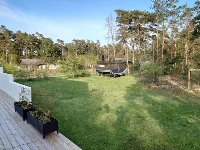 Granntomten på disponeras som trädgård