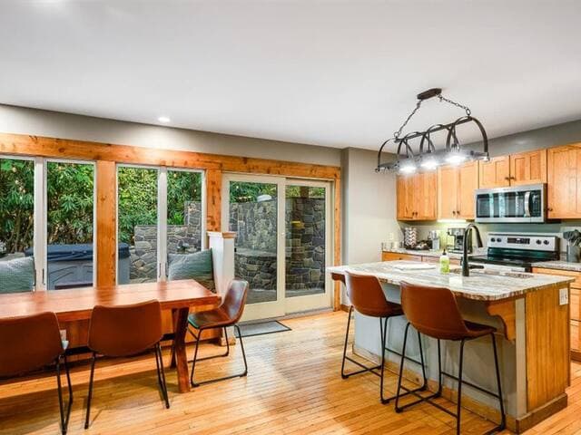 Highland Cabin, pets ok/GW Nat'l Forest/near JMU