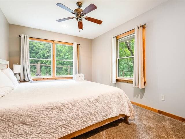 Highland Cabin, pets ok/GW Nat'l Forest/near JMU