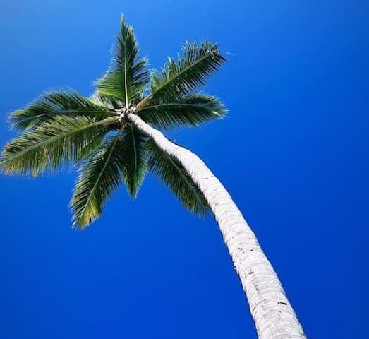 Don't forget to look up from your phone, or you might miss some inspiring sights.  What are you waiting for?  Join us in paradise.