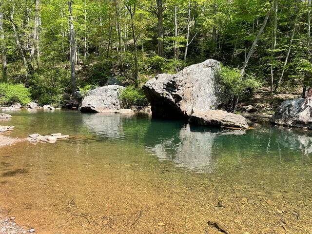 Walk to "Blue Hole" on the Dry River