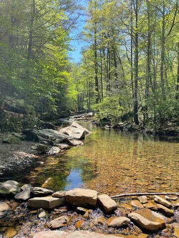 Go check out "Bathtub" on Black Run