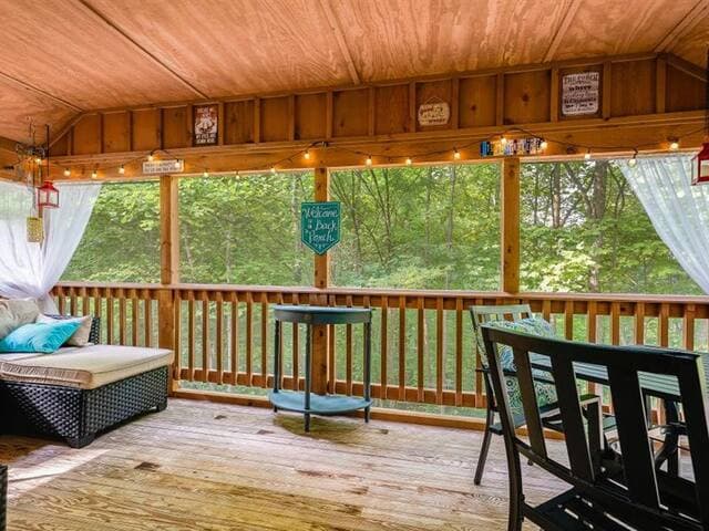 Highland Cabin, pets ok/GW Nat'l Forest/near JMU