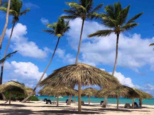 50 Steps to Private Beach Poolside Rooftop Terrace