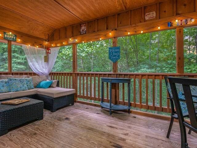 Highland Cabin, pets ok/GW Nat'l Forest/near JMU