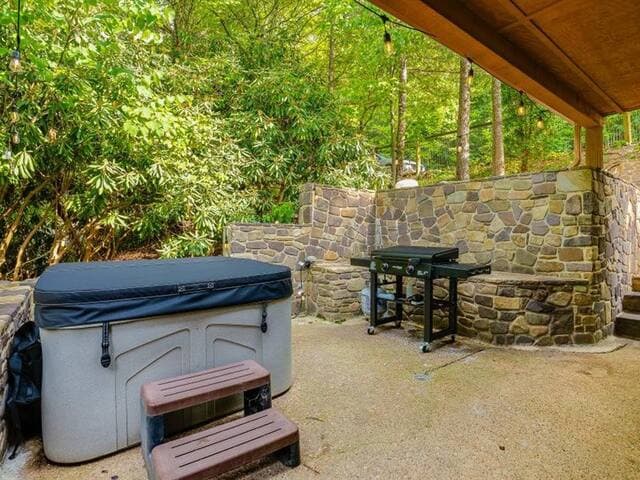 Highland Cabin, pets ok/GW Nat'l Forest/near JMU