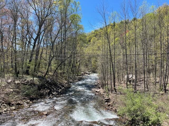 Dry River is stocked with trout and offers miles of great fishing
