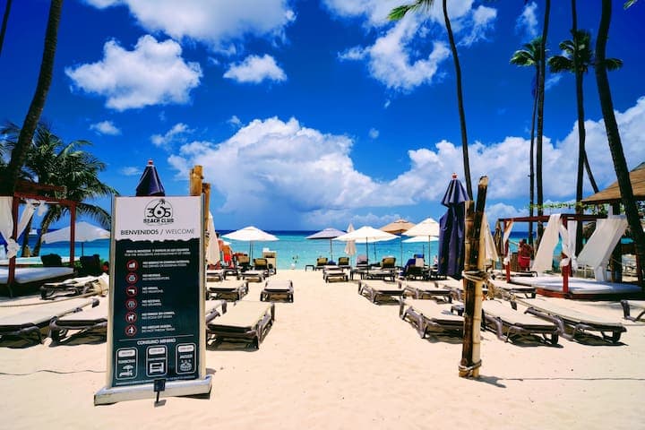 365 Beach Club staff brings you drinks and food right to your umbrella or beach day bed.
Send us a message and tell is which one you would choose.