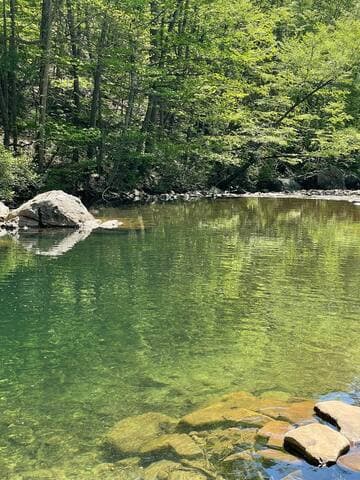 Walk to "Blue Hole" on the Dry River