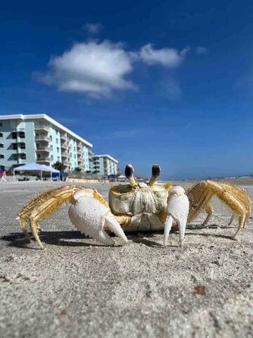 Sunrise views that will make you a morning person!