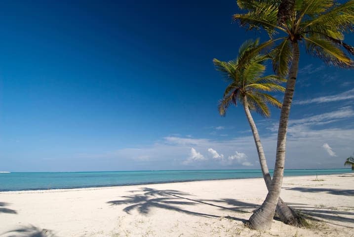 Sit in the shade under a palm tree and enjoy the ocean breeze.
8 min walk.