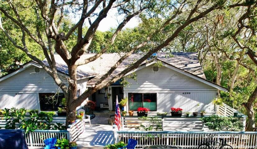 The Turtle Nest in Sea Woods