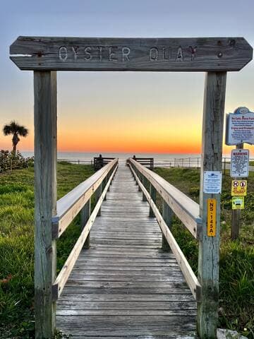 The Turtle Nest in Sea Woods