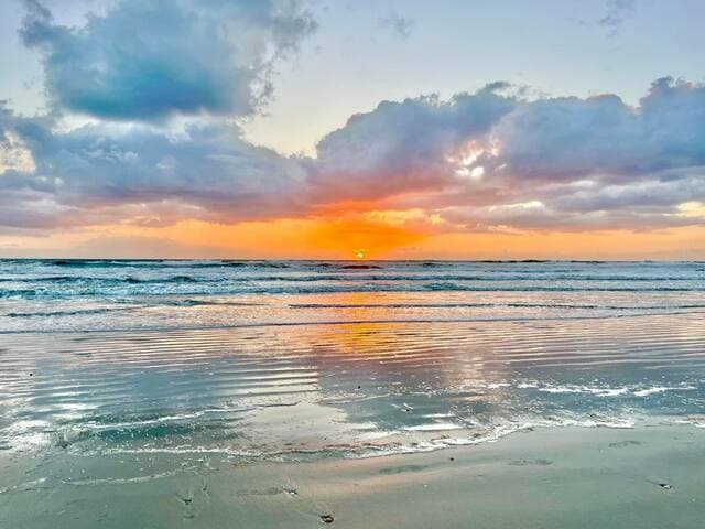 The Turtle Nest in Sea Woods