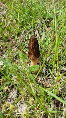 Super Cozy Chalet with WoW view - 12 min from Ski