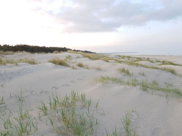 Stort hus + gästhus nära havet.