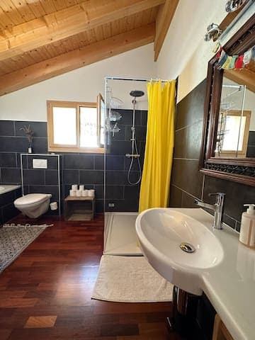 Bathtub, large shower, toilet and sink.