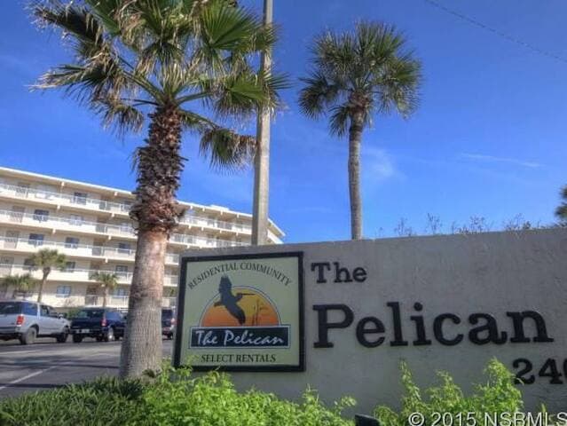 Welcome to The Pelican