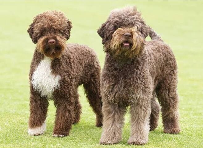 Book call 0423308840 Save!