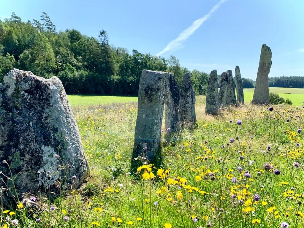 The Blomsholm Cabin - Load Your Electric Car