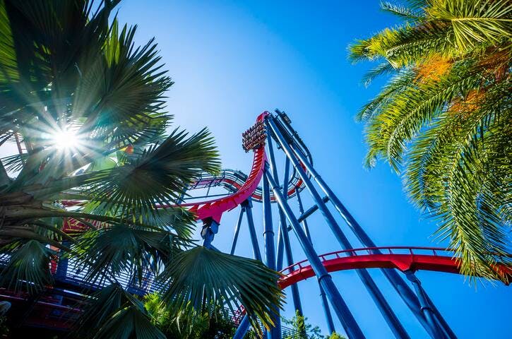 Get your adrenaline pumping at Busch Gardens or Adventure Island, just a short 10-minute drive. Roller coaster junkies will love the thrills. Or visit their wild animal park. Adventure Island's water attractions are perfect for hot Tampa days.
