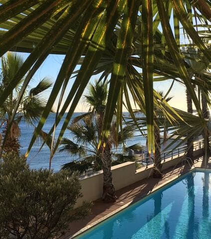 Vue depuis la piscine collective