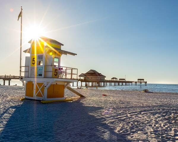 Experience paradise at the Gulf Coast's top-rated beaches, such as Clearwater Beach, Treasure Island, and St. Petersburg, all within a 30-min drive. Bask in the sun, swim in crystal-clear waters creating unforgettable Florida memories.