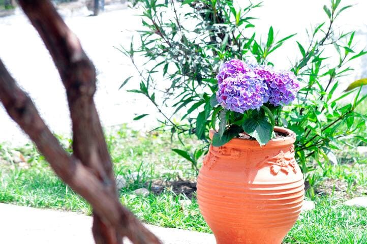 Traditional Cottage on the hillside of Antiperni