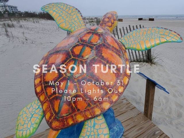 SEASON TURTLE runs from May 1 through October 31.
Mother sea turtles will come ashore at nighttime, lay their eggs in nests and return to the ocean. 
Please lights out from 10pm-6am. Thank you