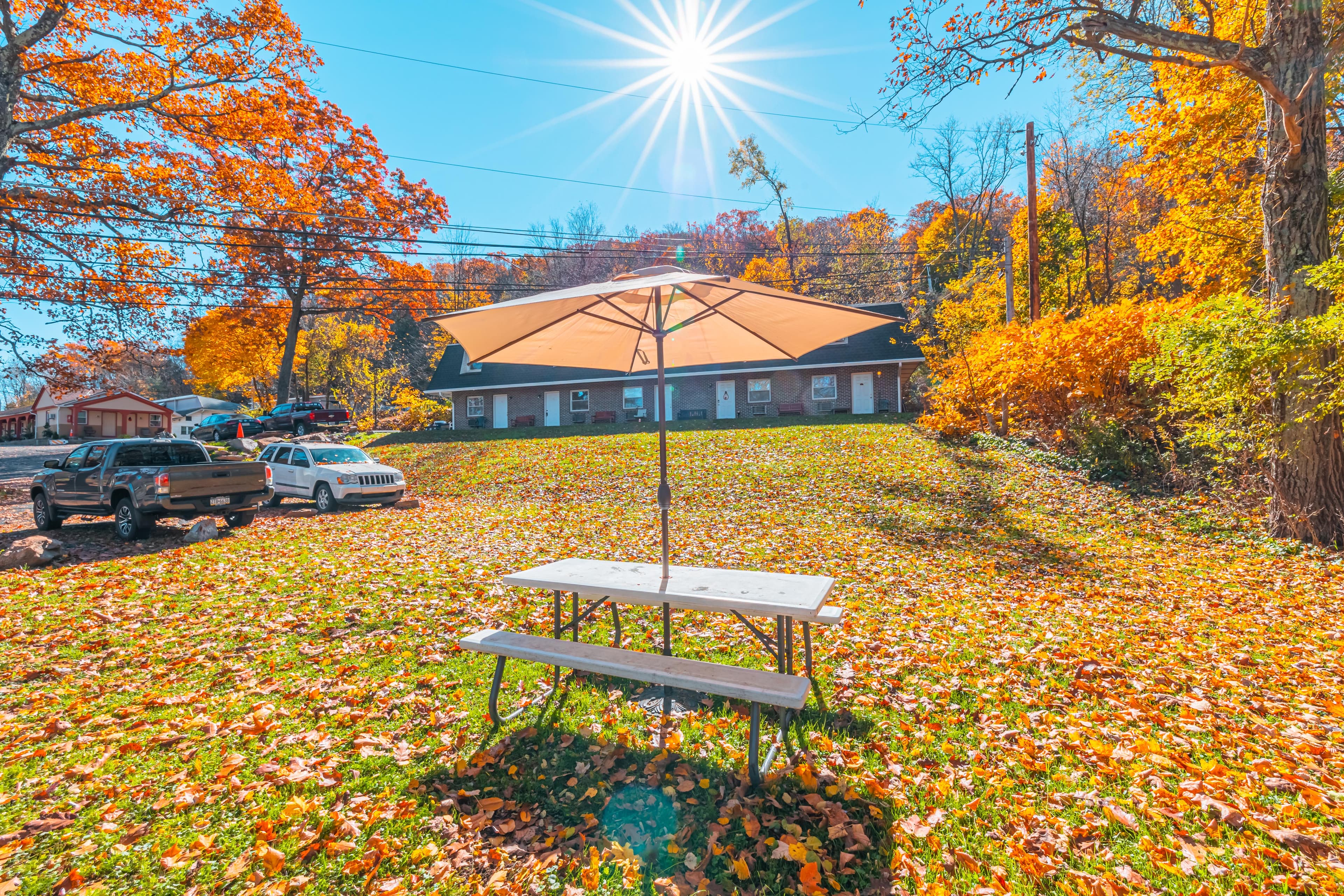 Building 219 front lawn